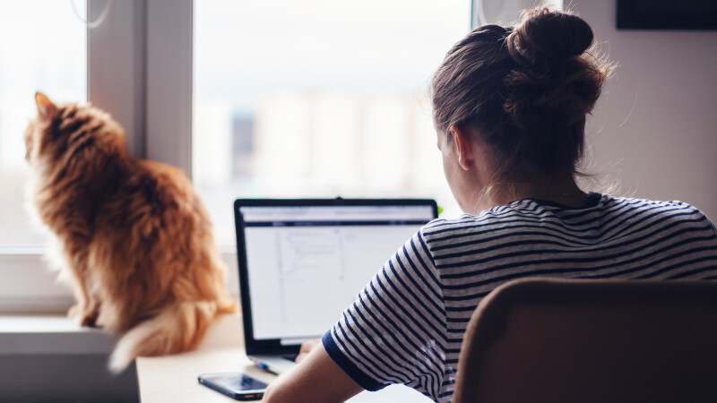 flexible-work-victorian-working-from-home